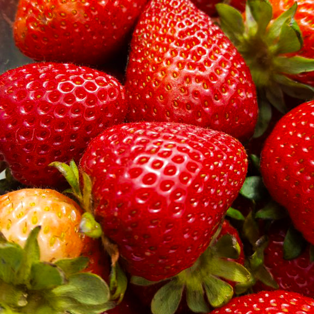 Fronteras_StrawberriesDirect_BareRootPlants_CPN-10